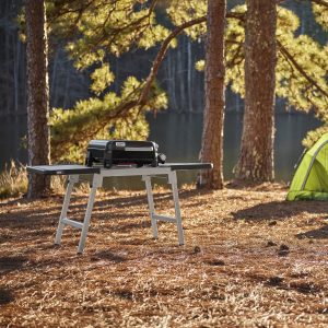 Placa Premium Weber® SLATE GP de 43 cm - Image 5